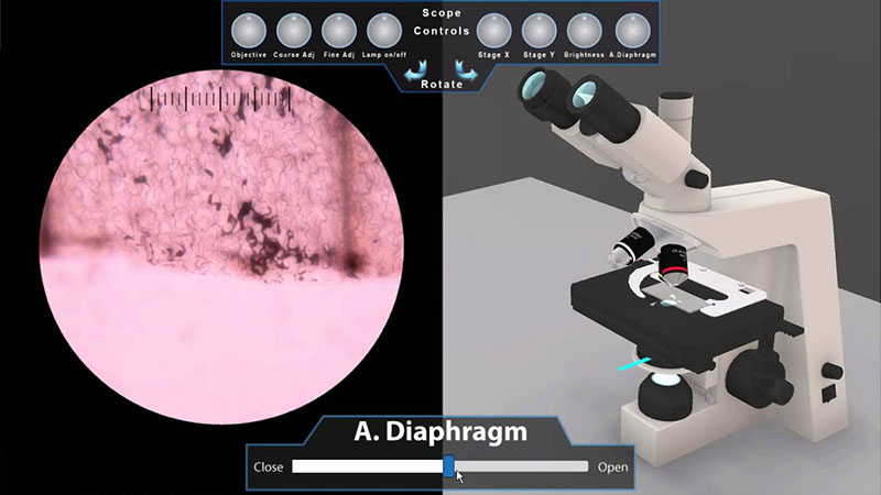 3D biology microscope