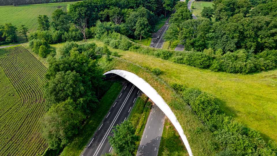 Grassy wildlife overpass crossing a highway, connecting forest and farmland to allow safe animal passage