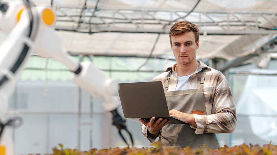 Person in a greenhouse using a laptop to analyze plant data while working near a robotic arm used in agriculture.