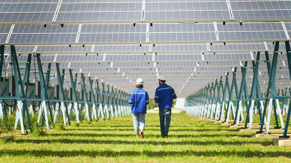 Two workers walking through a solar panel installation